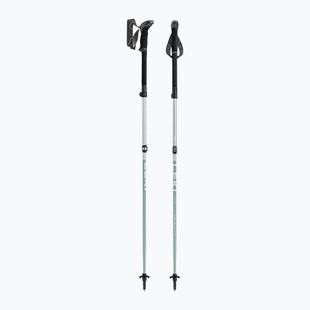 Trekingové palice LEKI Makalu FX TA silver/greygreen/white