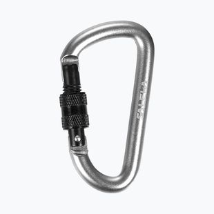 Salewa D-Shape Carbiner With Screw silver 00-0000034102