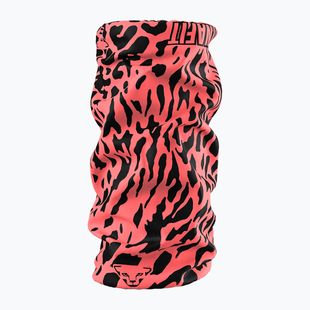 Multifunkčná šatka DYNAFIT Graphic cabana/leopard