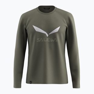 Pánske tričko longsleeve Salewa Solidlogo Dry faded green