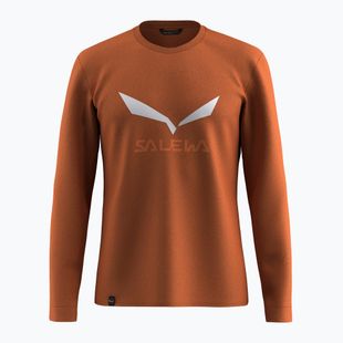 Pánske tričko longsleeve Salewa Solidlogo Dry bombay brown