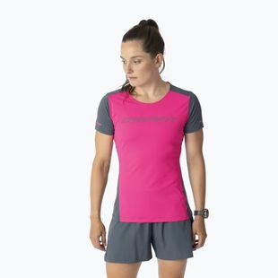 Dámske bežecké tričko DYNAFIT Alpine 2 Tee pink glo