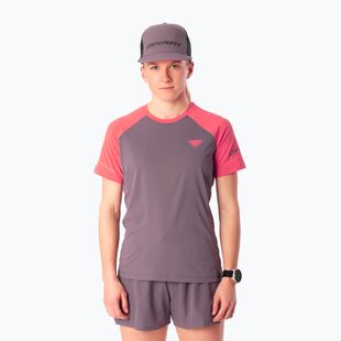 Dámske bežecké tričko Dynafit Alpine Pro SS Tee cabana/6A90