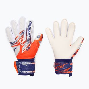 Brankárske rukavice Reusch Attrakt Silver shocking orange/energize blue