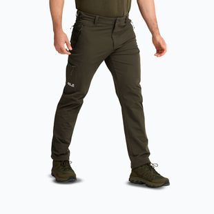 Pánske trekingové nohavice Jack Wolfskin Activate Flex obsidian moss