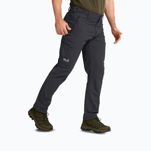 Pánske trekingové nohavice Jack Wolfskin Activate Flex phantom