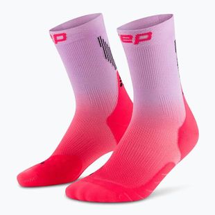 Pánske kompresné  ponožky CEP Run Edt. Gradient Mid Cut Compression 5.0 pink/lilac fade