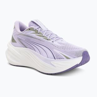Bežecké topánky Puma Maxima Pro light lavender/plum purple