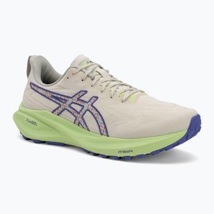 Pánske bežecké topánky ASICS GT-2000 13 TR nature bathing/lime green