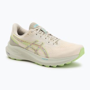 Pánske bežecké topánky ASICS GT-1000 13 TR nature bathing/lime green