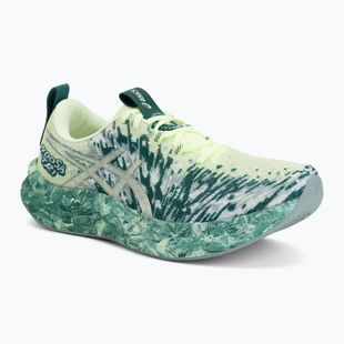 Pánske bežecké topánky ASICS Noosa Tri 16 illuminate yellow/jewel green