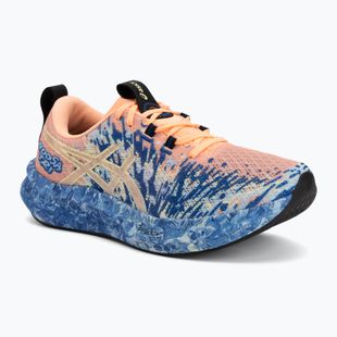 Pánske bežecké topánky ASICS Noosa Tri 16 bright sunstone/soft sky