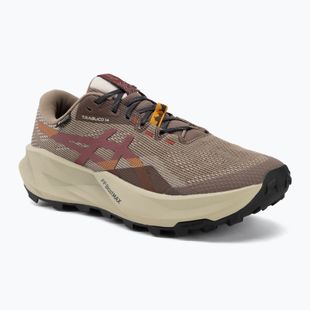 Pánske bežecké topánky Asics Trabuco 14 Gtx taupe grey/oatmeal