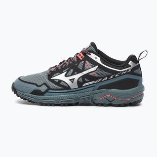 Pánske topánky Mizuno Wave Daichi LS stormy weather/silver