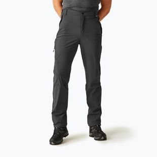 Pánske trekové nohavice REGATTA Travel Light Packaway ash