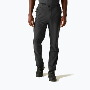 Pánske trekové nohavice REGATTA Highton II ash