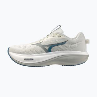 Pánske bežecké topánky Mizuno Wave Rider 30 foggy dew/dark slate/white