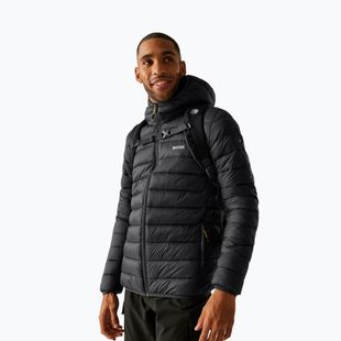 Pánska bunda REGATTA Hooded Marizion ash/gold