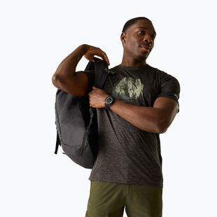 Pánske trekingové tričko REGATTA Fingal ash marl