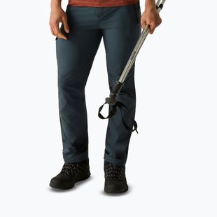 Pánske trekingové nohavice REGATTA Highton II night sky