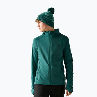 Pánska mikina Dare 2b Venture Hooded mediterranea