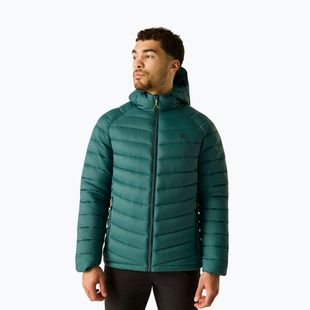 Pánska zateplená bunda Dare 2b Torrek Padded Jacket mediterranea