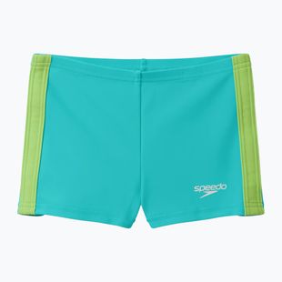 Pánske plavecké boxerky Speedo Colorblock Aquashort aqua breeze