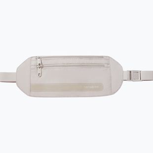 Ľadvinka Samsonite Revolution grey