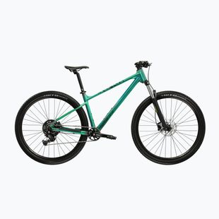 Horský bicykel KROSS Level X100 green/black/matte
