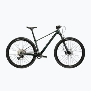Horský bicykel KROSS Level RS 1.0 green/chameleon/gloss