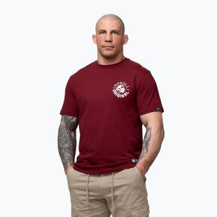 Pánske tričko Pitbull Dog SD burgundy