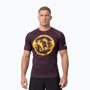 Pánske tričko Pitbull Rashguard Logo Palms brown