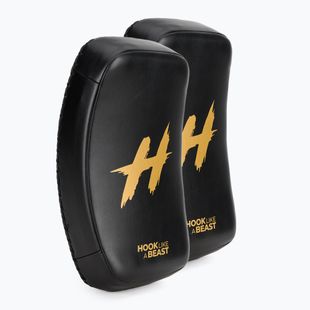 HOOK FIGHTING TX0-B4M0042 Thajské zakrivené tréningové disky 2 ks čierne.