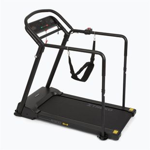 Elektrický bežecký pás XTREXO R300 black