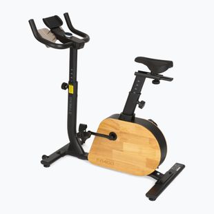 Elektrobicykel XTREXO EB400 black