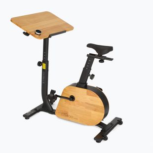 Elektrobicykel XTREXO EB400-desk black