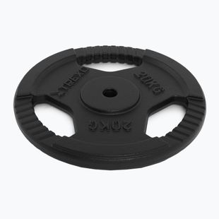 Liatinový kotúč XTREXO TRX-ICP020 20 kg chróm