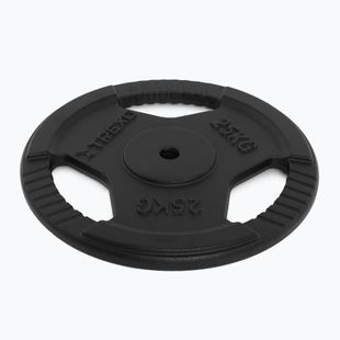 Liatinový kotúč XTREXO TRX-ICP025 25 kg chróm