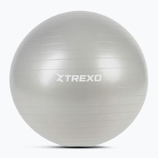 XTREXO Gymball TXO-B4Z009-GY 75 cm sivá