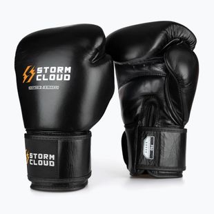 Boxerské rukavice StormCloud Muay Thai Blizzard 2.0 black/white