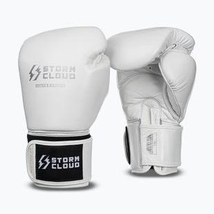 Boxerské rukavice StormCloud Muay Thai Blizzard 2.0 white/silver