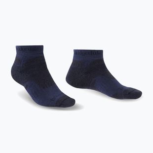 Pánske trekingové ponožky Bridgedale Hike Midweight Performance Ankle navy