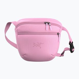 Ľadvinka Arcteryx Mantis 2 2,5 and pineberry