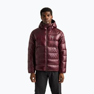 Pánska zateplená bunda Arcteryx Cerium SV Hoody ultima