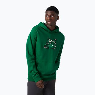 Pánska trekingová mikina Helly Hansen F2F Organic Cotton Hoodie malachite