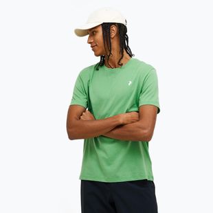 Pánske tričko Peak Performance Explore Graphic peppermint