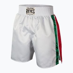 Pánske boxerkové šortky  Cleto Reyes Satin Boxing white/green/red