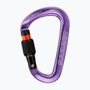 Karabína Mammut Classic HMS Screwgate screw gate/alpine calamint
