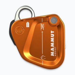 Istiace zariadenie Mammut Assist Belay Resistor gold
