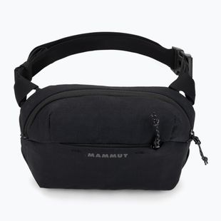 Ľadvinka Mammut Alto Waistpack 2 l black
